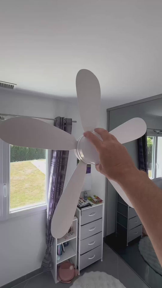 Ventilateur de Plafond LED 30W avec Télécommande